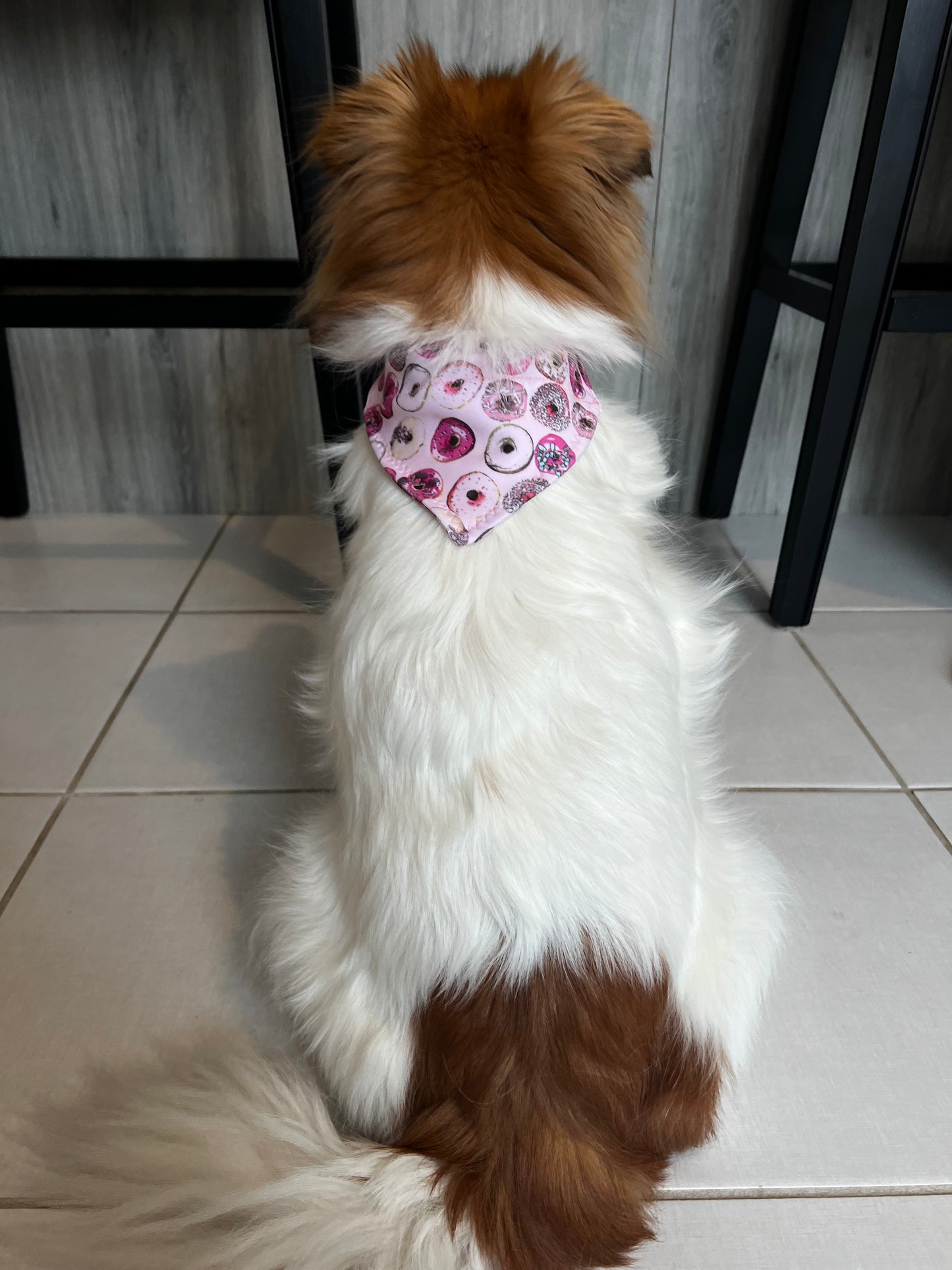 Dog Bandana