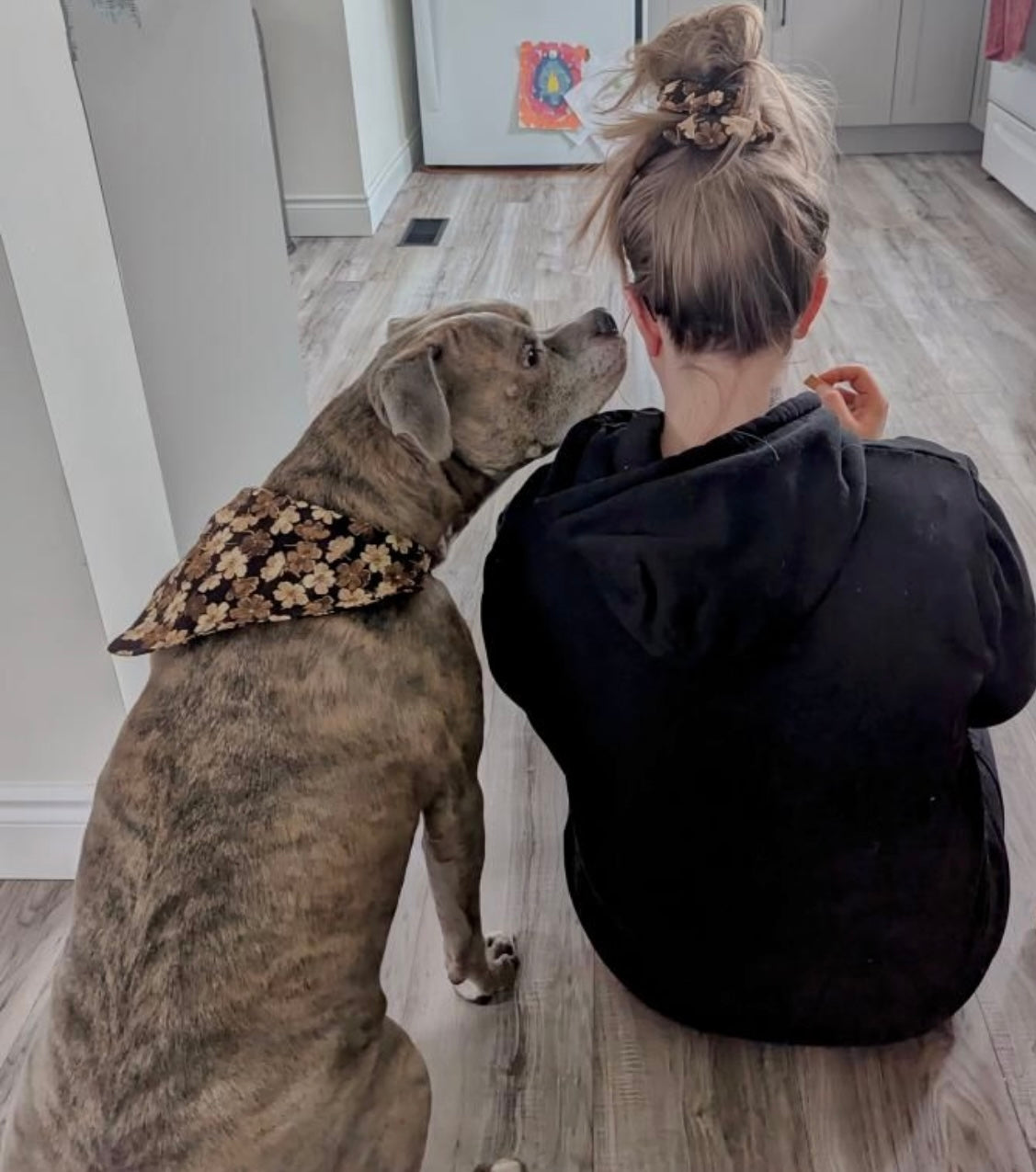 Dog Bandana