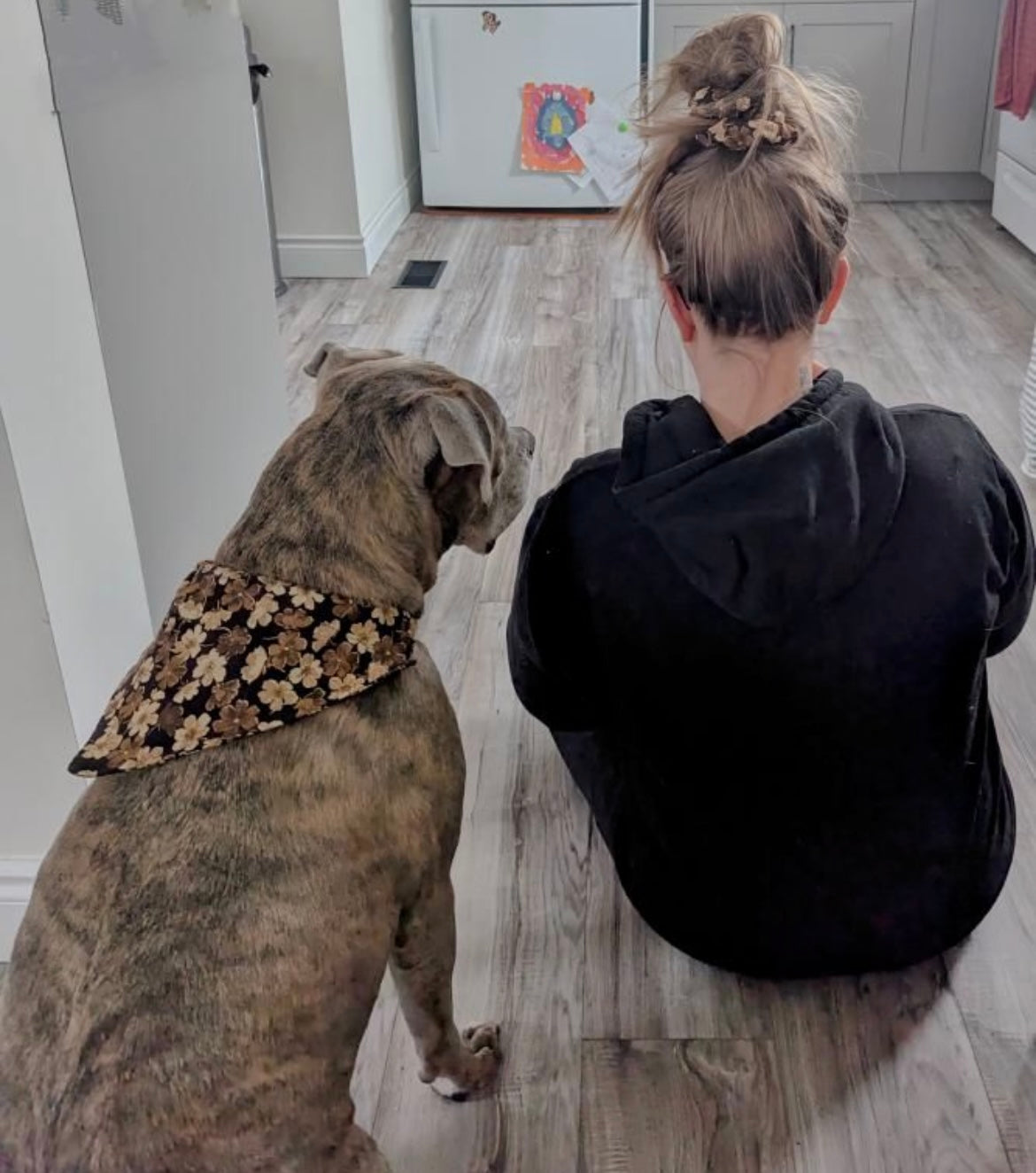 Dog Bandana