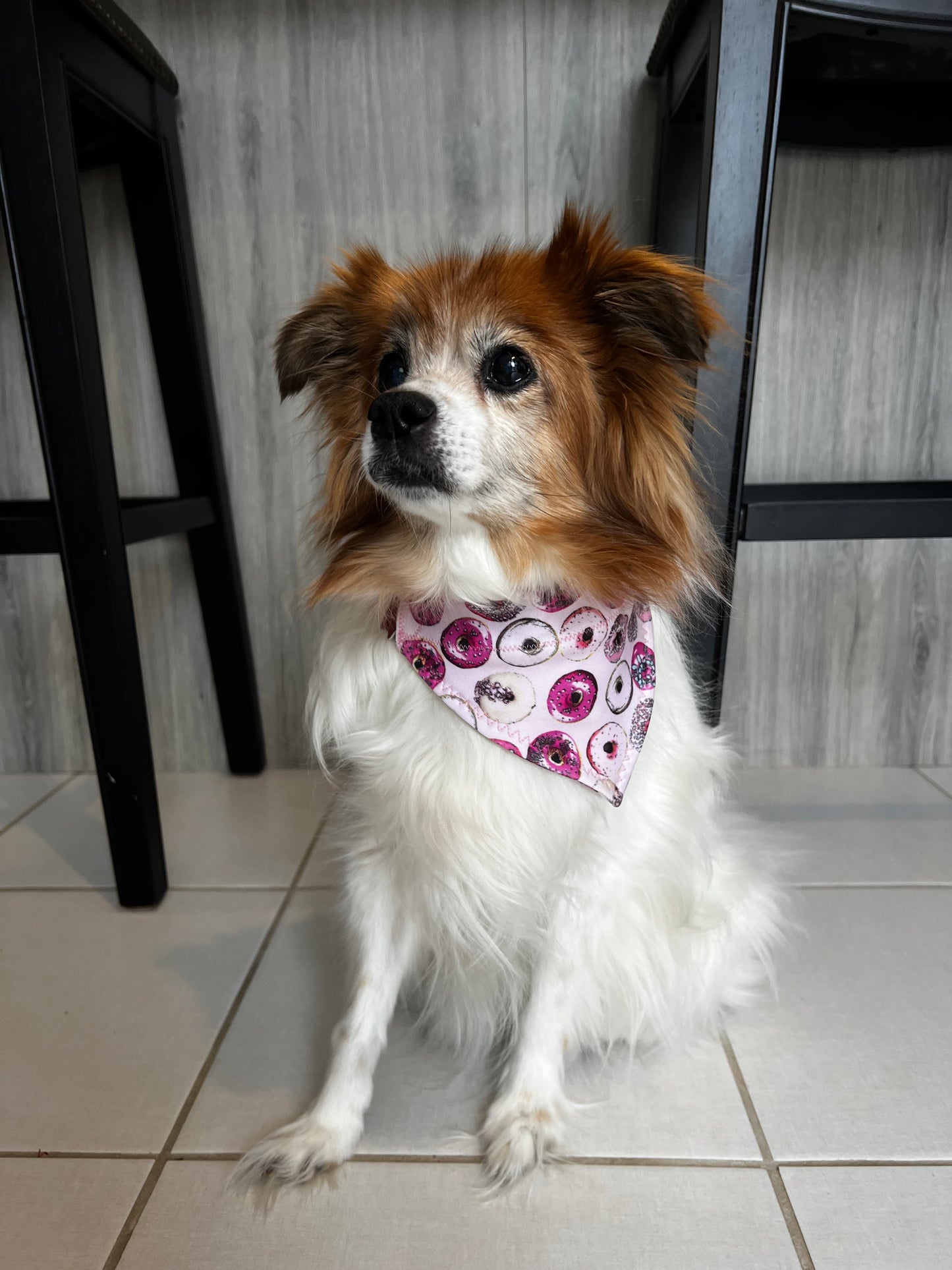Dog Bandana