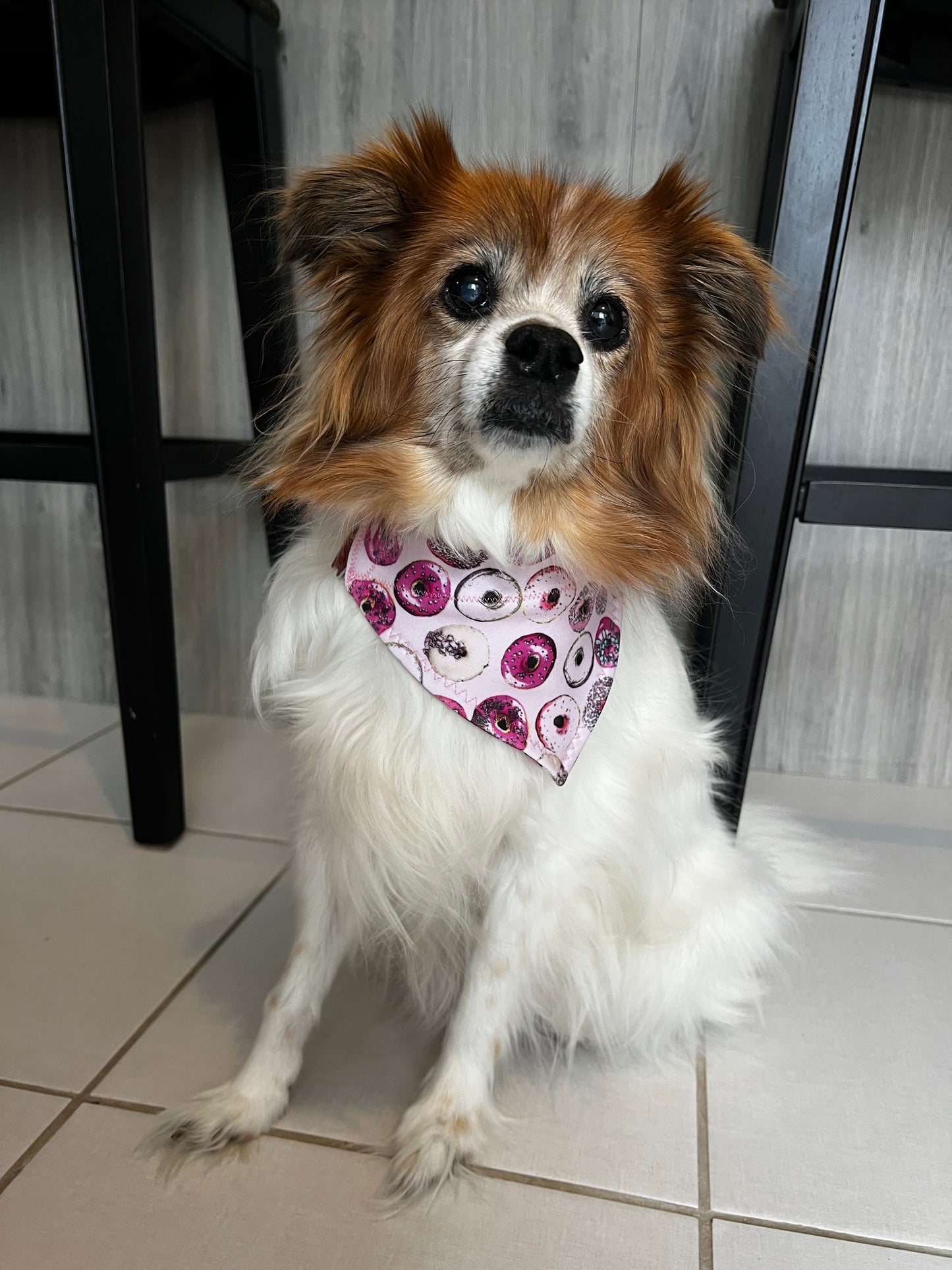 Dog Bandana